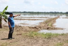 PARCELEROS DE LA REFORMA AGRARIA DENUNCIAN HAN SIDO ABANDONADOS SUS ASENTAMIENTOS QUE ESTAN EN MANOS DEL INSTITUTO AGRARIO DOMINICANO