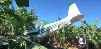 Una avioneta de fumigación se precipita en finca de Montecristi; piloto resulta ileso