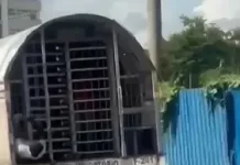 Haitianos huyen de camión de Migración durante traslado en Puerto Plata